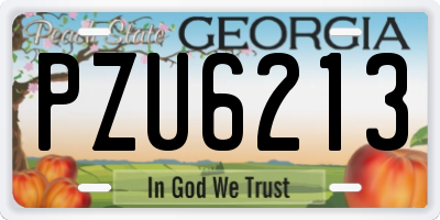 GA license plate PZU6213