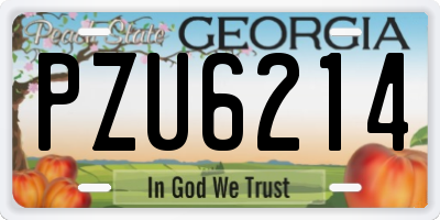 GA license plate PZU6214