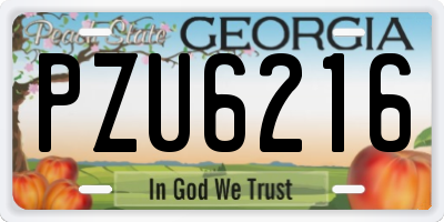 GA license plate PZU6216