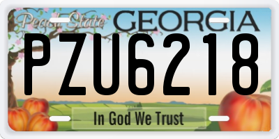GA license plate PZU6218