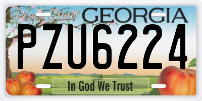 GA license plate PZU6224