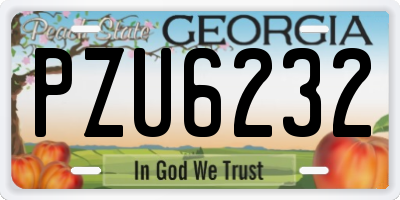 GA license plate PZU6232