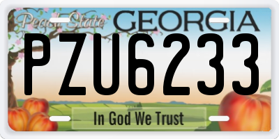 GA license plate PZU6233