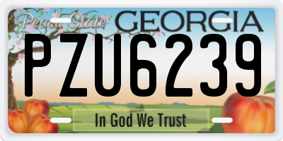 GA license plate PZU6239