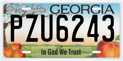 GA license plate PZU6243