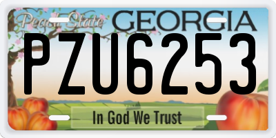 GA license plate PZU6253