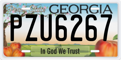 GA license plate PZU6267