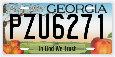 GA license plate PZU6271