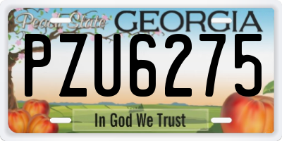 GA license plate PZU6275