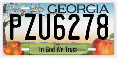 GA license plate PZU6278