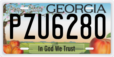 GA license plate PZU6280