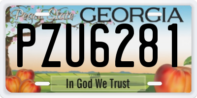 GA license plate PZU6281