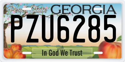 GA license plate PZU6285