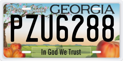 GA license plate PZU6288