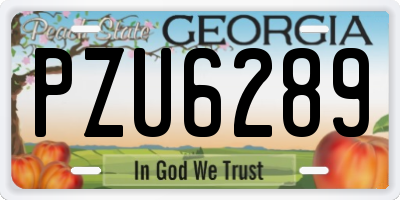 GA license plate PZU6289