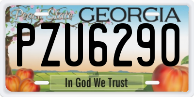 GA license plate PZU6290