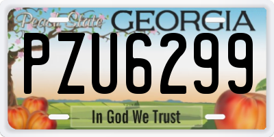 GA license plate PZU6299