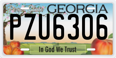 GA license plate PZU6306