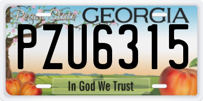 GA license plate PZU6315