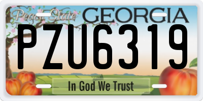 GA license plate PZU6319