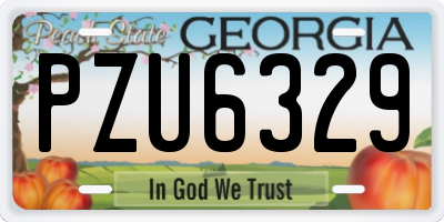 GA license plate PZU6329