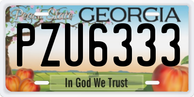 GA license plate PZU6333