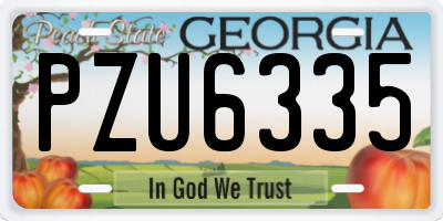 GA license plate PZU6335