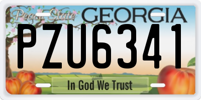GA license plate PZU6341