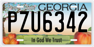 GA license plate PZU6342