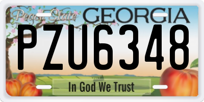 GA license plate PZU6348