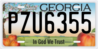GA license plate PZU6355