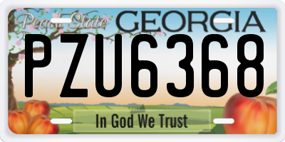 GA license plate PZU6368