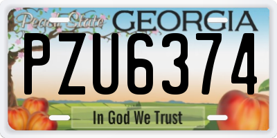 GA license plate PZU6374