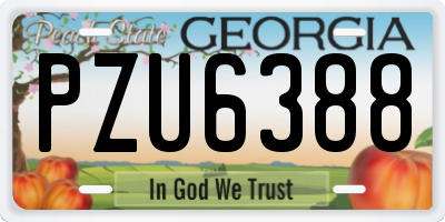 GA license plate PZU6388