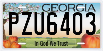 GA license plate PZU6403