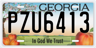 GA license plate PZU6413