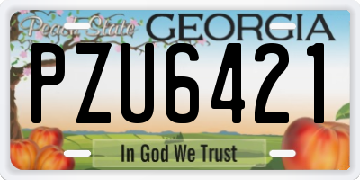 GA license plate PZU6421
