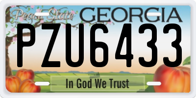 GA license plate PZU6433