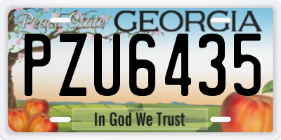 GA license plate PZU6435