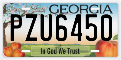 GA license plate PZU6450