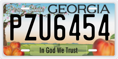 GA license plate PZU6454