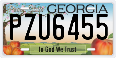 GA license plate PZU6455