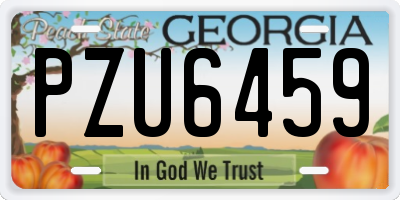 GA license plate PZU6459