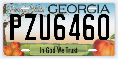 GA license plate PZU6460