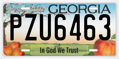 GA license plate PZU6463