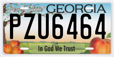 GA license plate PZU6464