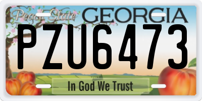 GA license plate PZU6473