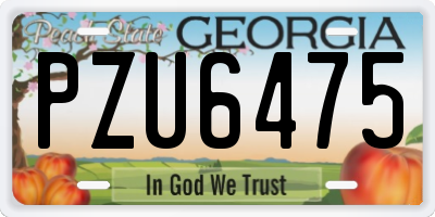GA license plate PZU6475