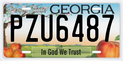 GA license plate PZU6487