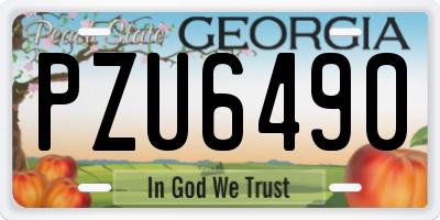 GA license plate PZU6490